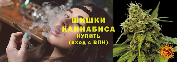 соль ск Янаул